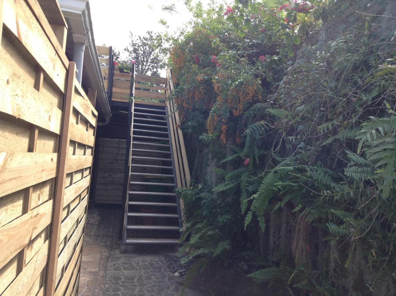 Le Begonia Apartment Ravine Seche Exterior photo
